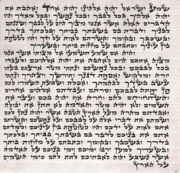 Kosher Mezuzah Scrolls - Premium Kosher Mezuzah Parchment (Klaf-Scroll) Ashkenaz Large Case 4.7inch-12cm