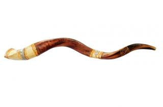 Yemenite Shofars - Jumbo Yemenite Hand Painted Shofar - Jerusalem Design 44&quot;+