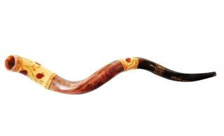 Yemenite Shofars - Jumbo Yemenite Hand Painted Shofar - Pomegranate Design 38&quot;-43&quot;