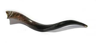 Yemenite Shofars - Medium Yemenite Shofar - Polished 26&quot;-31&quot;