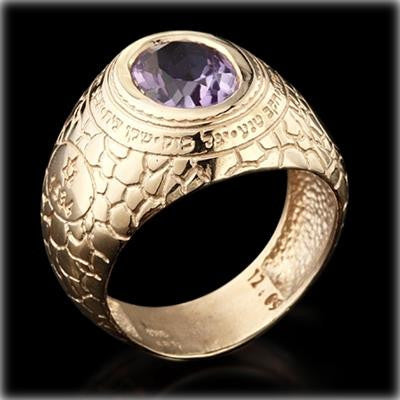 Men's Kabbalah Rings - Ana BeKoach Gold Kabbalah Ring with Amethyst for Men