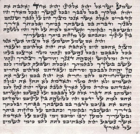 Kosher Mezuzah Scrolls - Standard Kosher Parchment (Klaf-Scroll) Ashkenaz Large Case 4.7inch-12cm