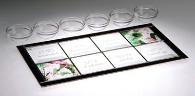 Glass Seder Plates - Spring Seder Plate I