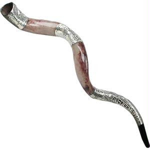 Yemenite Shofars - Yemenite Silver-plated Shofar